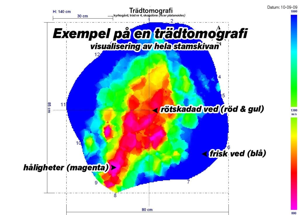 tomografi